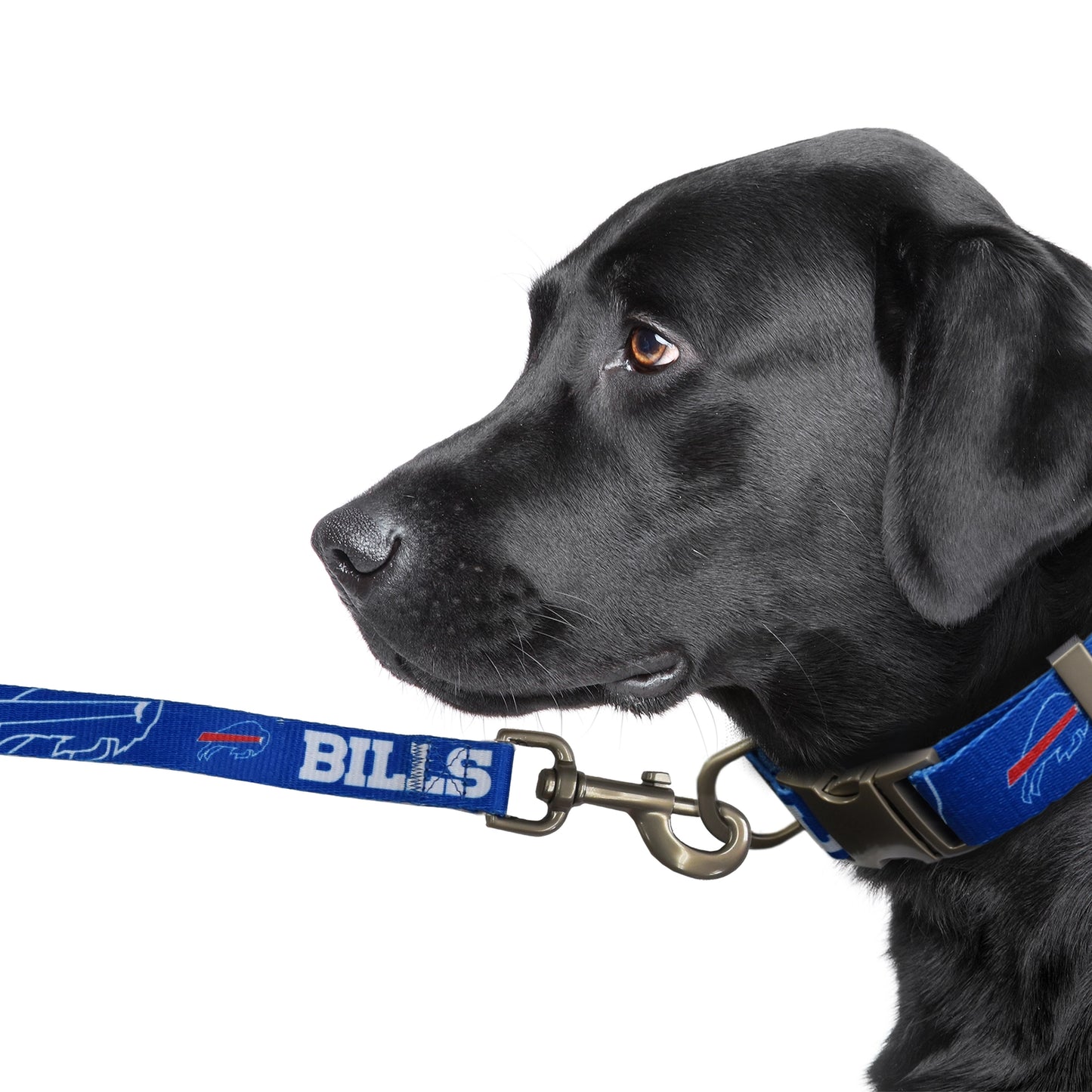 NFL Buffalo Bills Premium Pet Lead